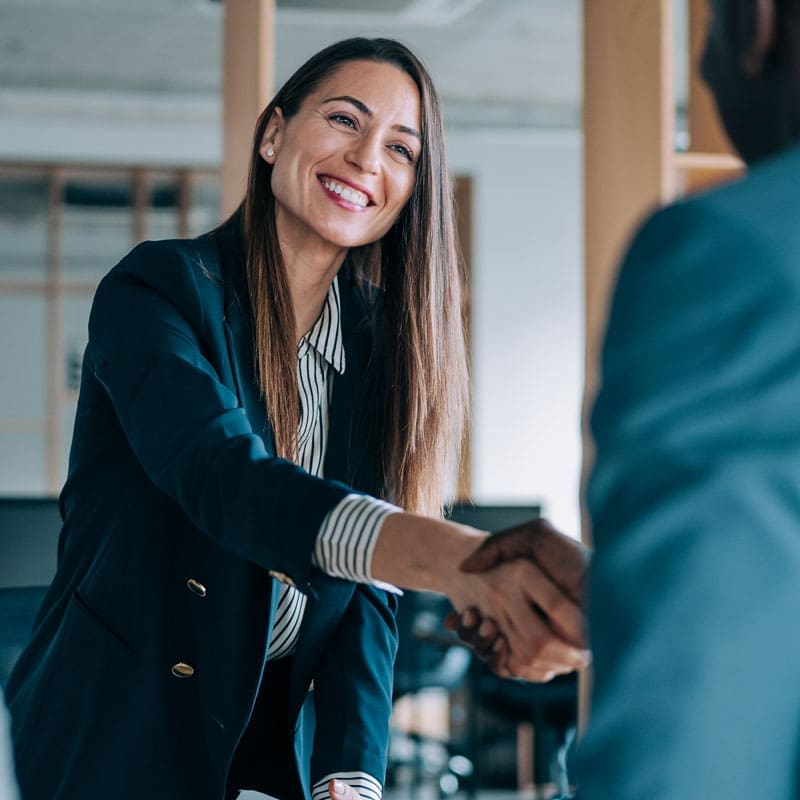 A business professional meeting a client