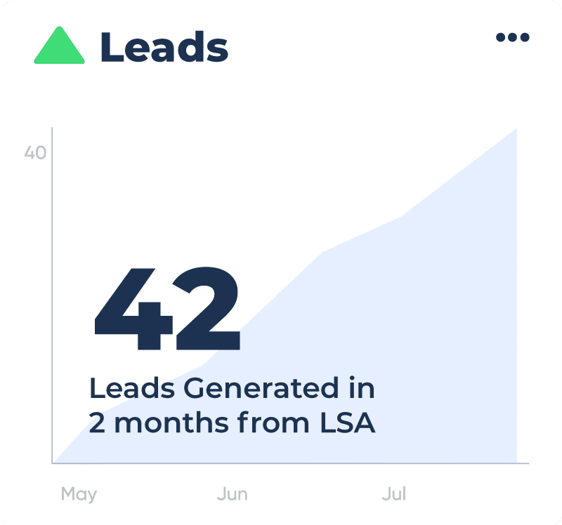 Leads Stats - 42 Leads Generated in 2 months from local search ads